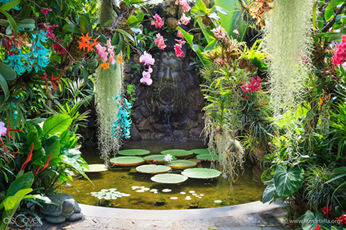 Visita i Giardini La Mortella, tra i dieci più belli d’Italia e d'Europa