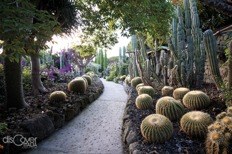 Ai Giardini Ravino di Forio d’Ischia la più grande collezione di piante grasse d’Europa.