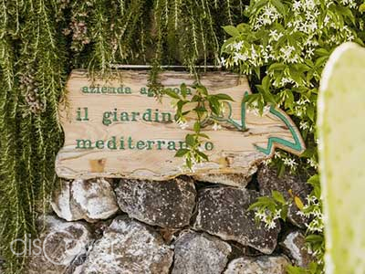 Per un tramonto mozzafiato, dopo una salita in monorotaia, il Giardino Mediterraneo